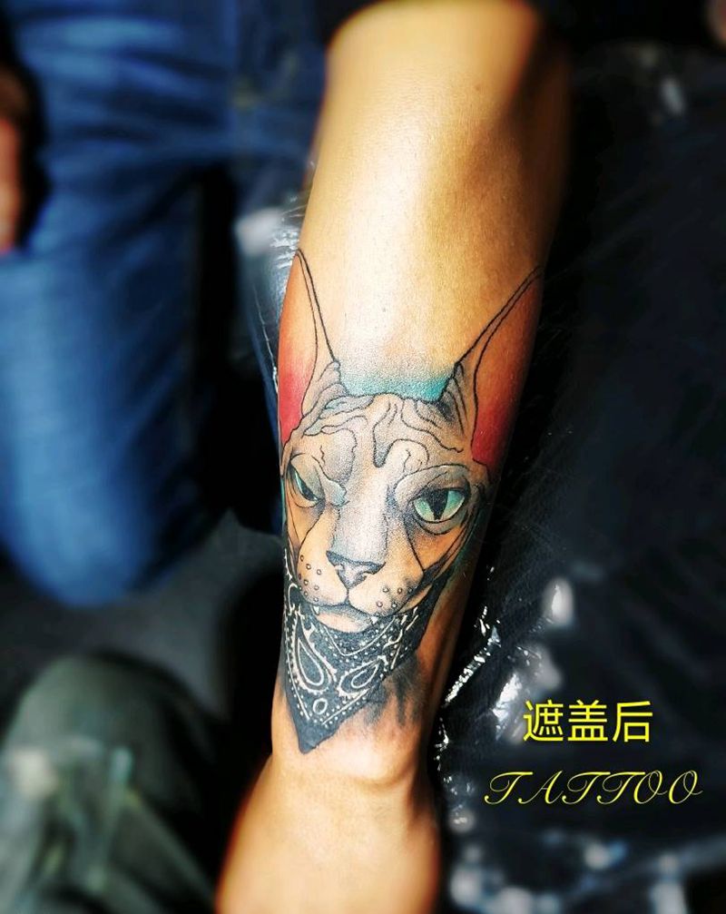 猫咪纹身图片_手部手臂New School纹身图案