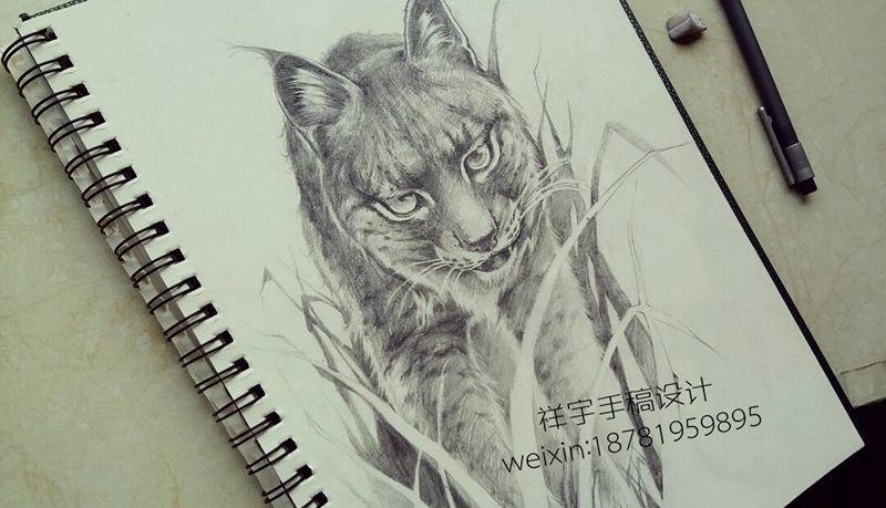 山猫定制手稿纹身图片_脚部写实动物原创手稿纹身图案