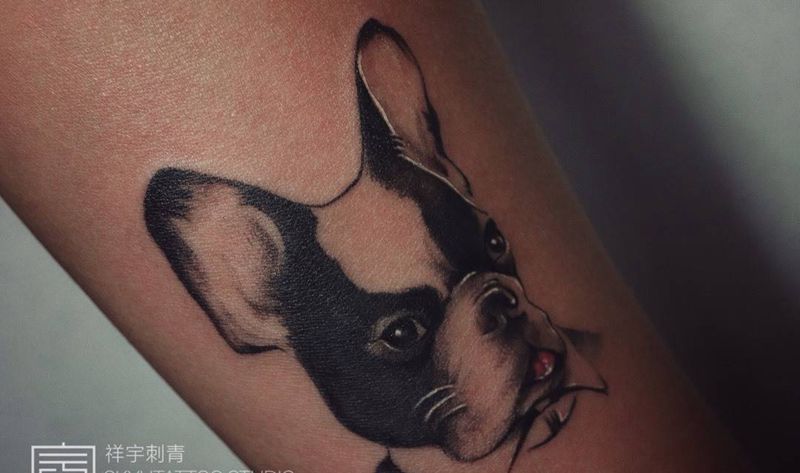 家有萌犬1纹身图片_手臂欧美写实狗纹身图案