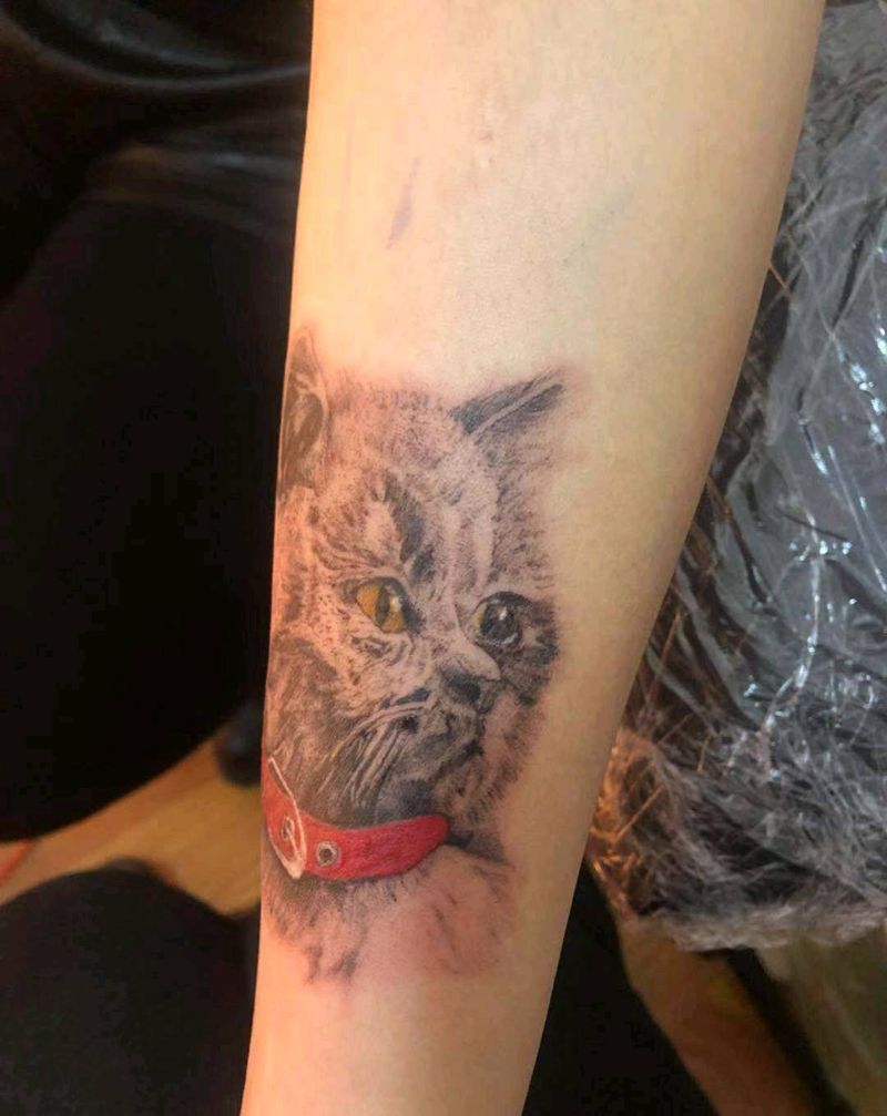 傻猫盖图纹身图片