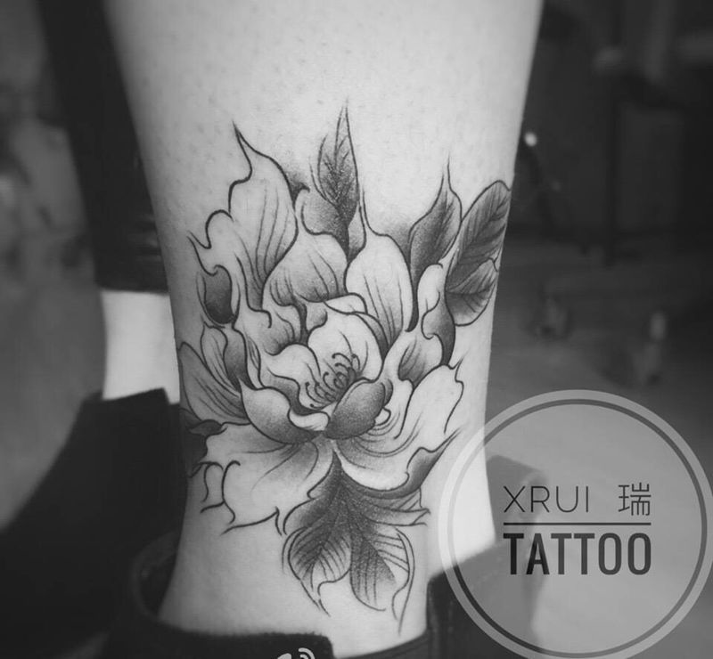 今日小作-牡丹fā