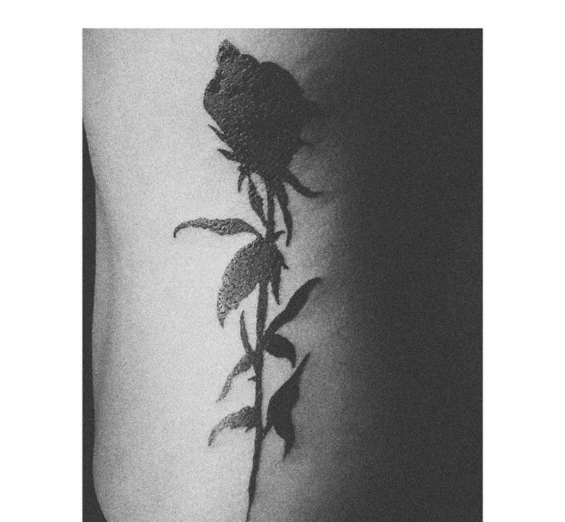 玫瑰与英文纹身图片_背部腿部英文小清新纹身图案