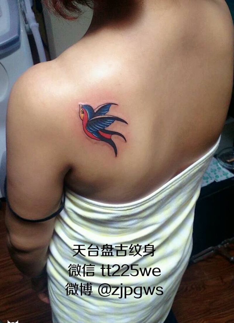 燕子纹身图片_肩部背部欧美清新动物成品纹身图案