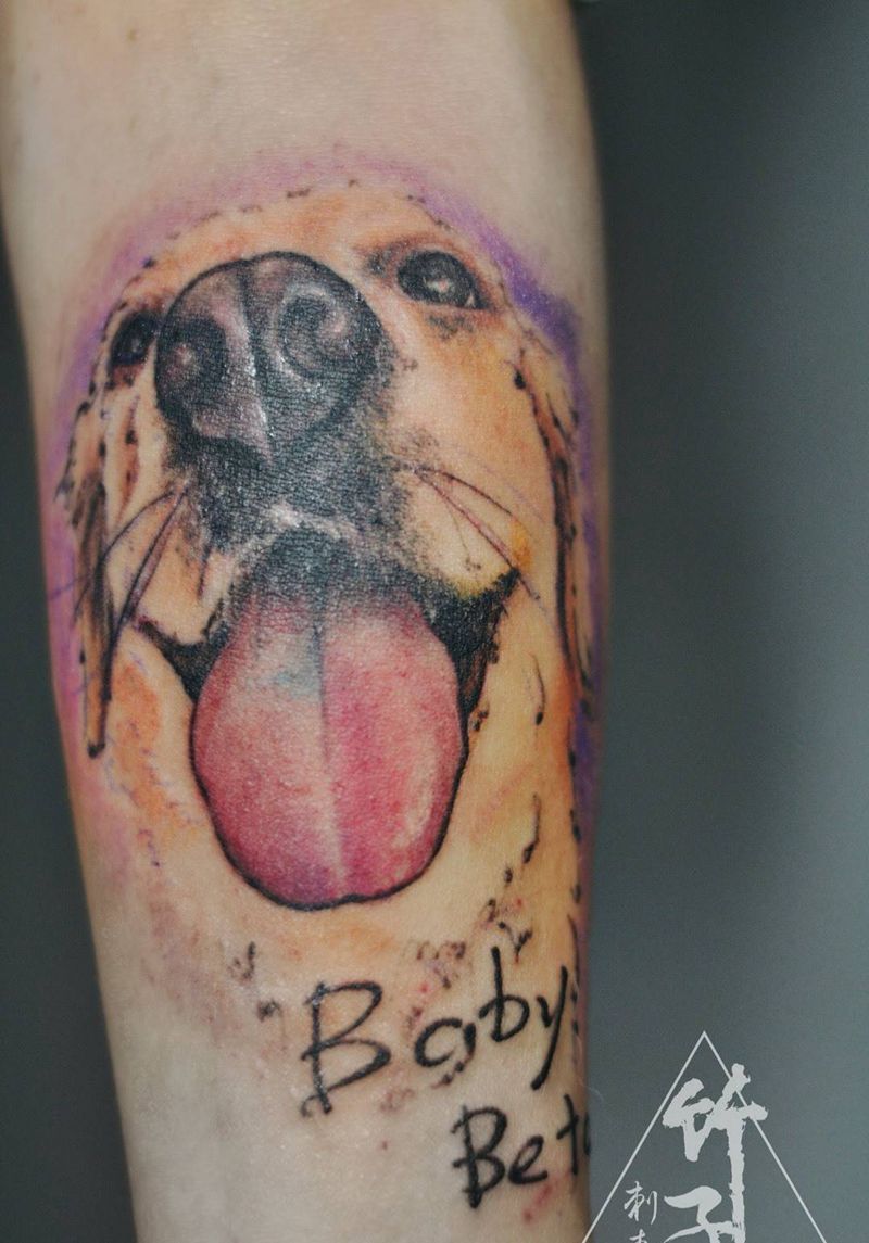 金毛猎犬纹身图片_成品手臂肖像欧美清新写实动物原创纹身图案