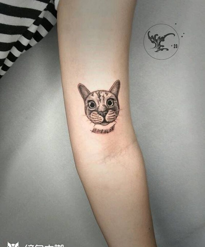 小猫纹身图片_手臂欧美写实原创纹身图案