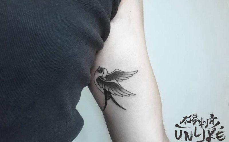 小燕砸纹身图片_成品手臂欧美清新动物纹身图案