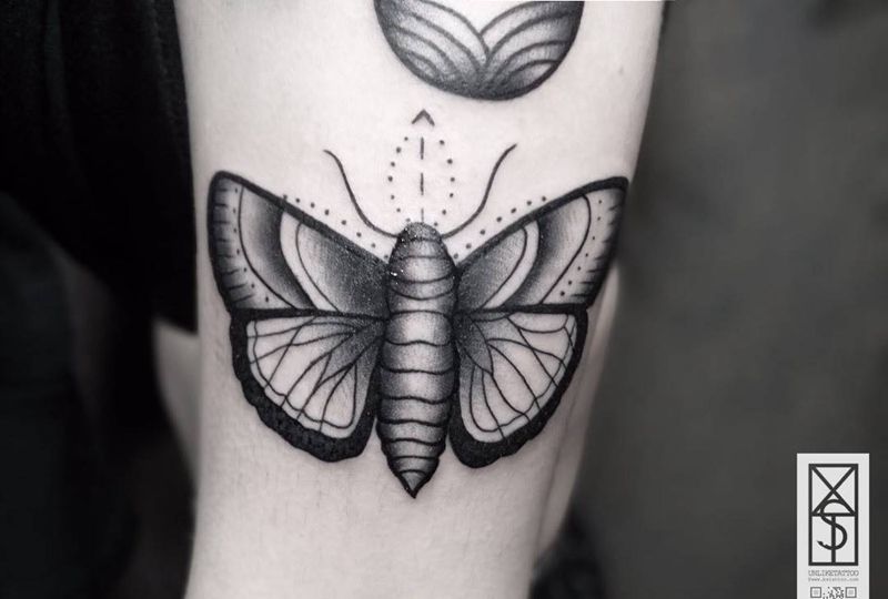 穿越风雨纹身图片_成品手臂欧美清新动物纹身图案