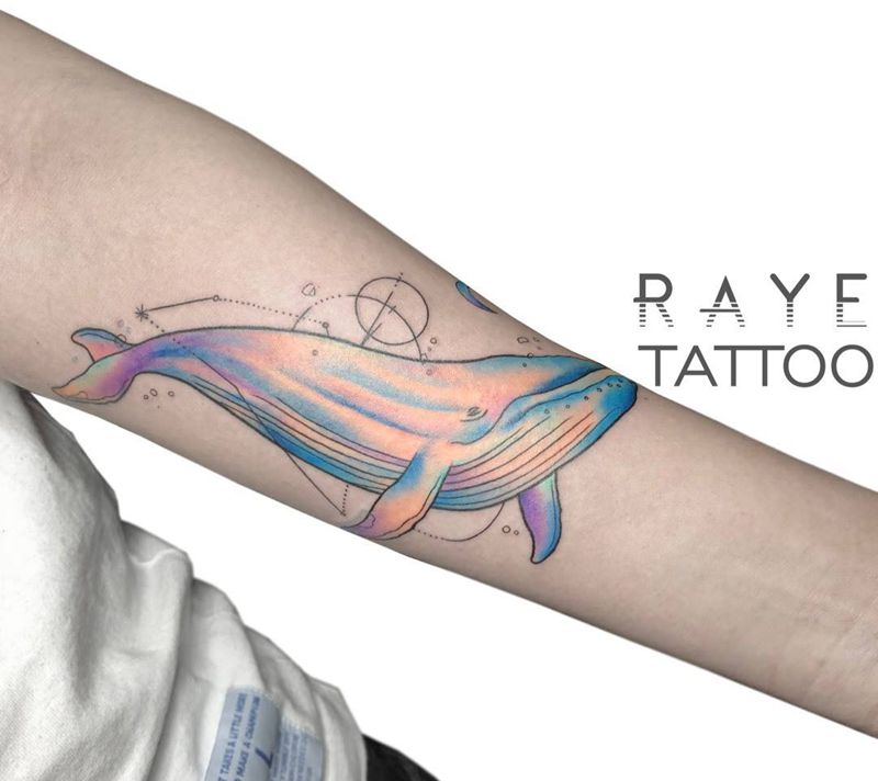 鲸鱼纹身图片_成品手臂欧美清新动物水彩纹身图案