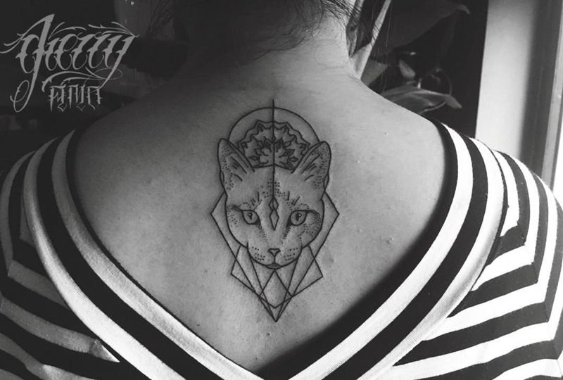 点刺猫纹身图片_背部New School猫纹身图案