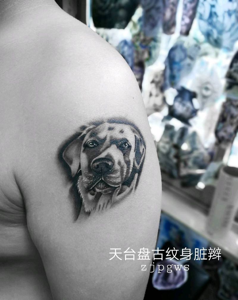 拉布拉多纹身图片_肩部欧美动物天台盘古盘古成品纹身图案
