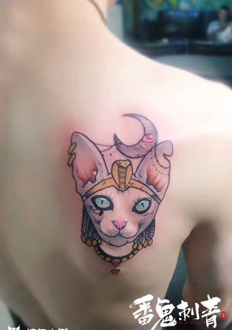 无毛猫纹身图片_成品背部欧美动物纹身图案