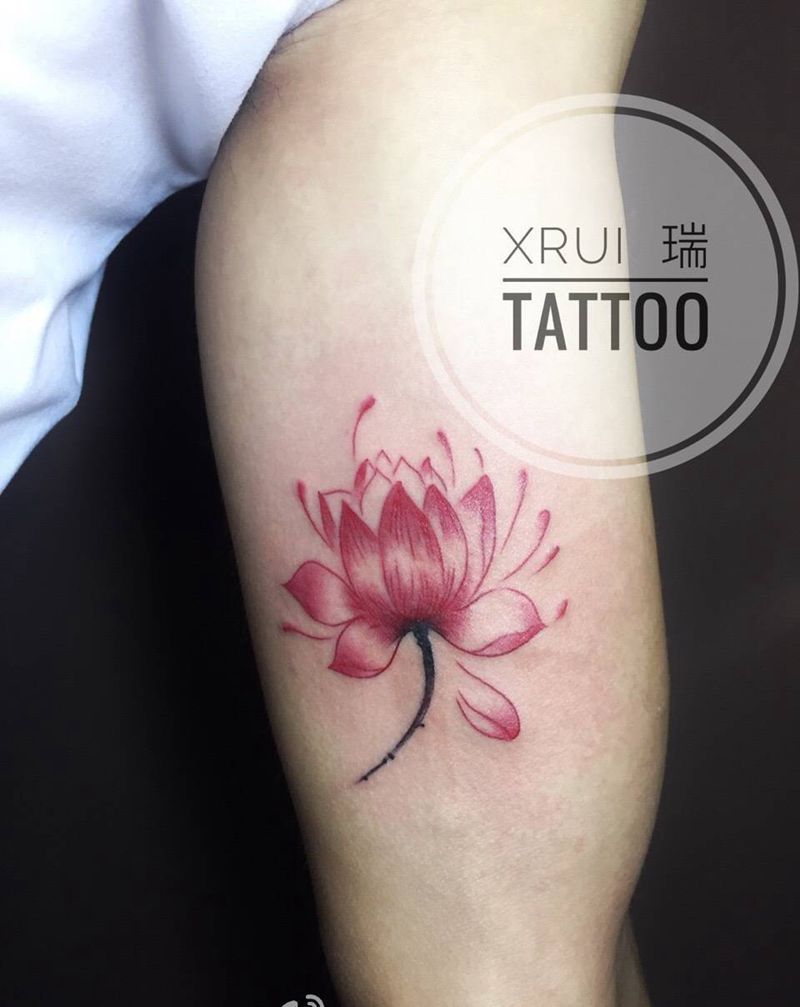 红莲纹身图片_成品手臂传统清新植物纹身图案