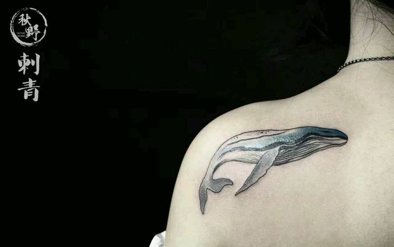 深海鲸纹身图片_背部清新动物成品纹身图案