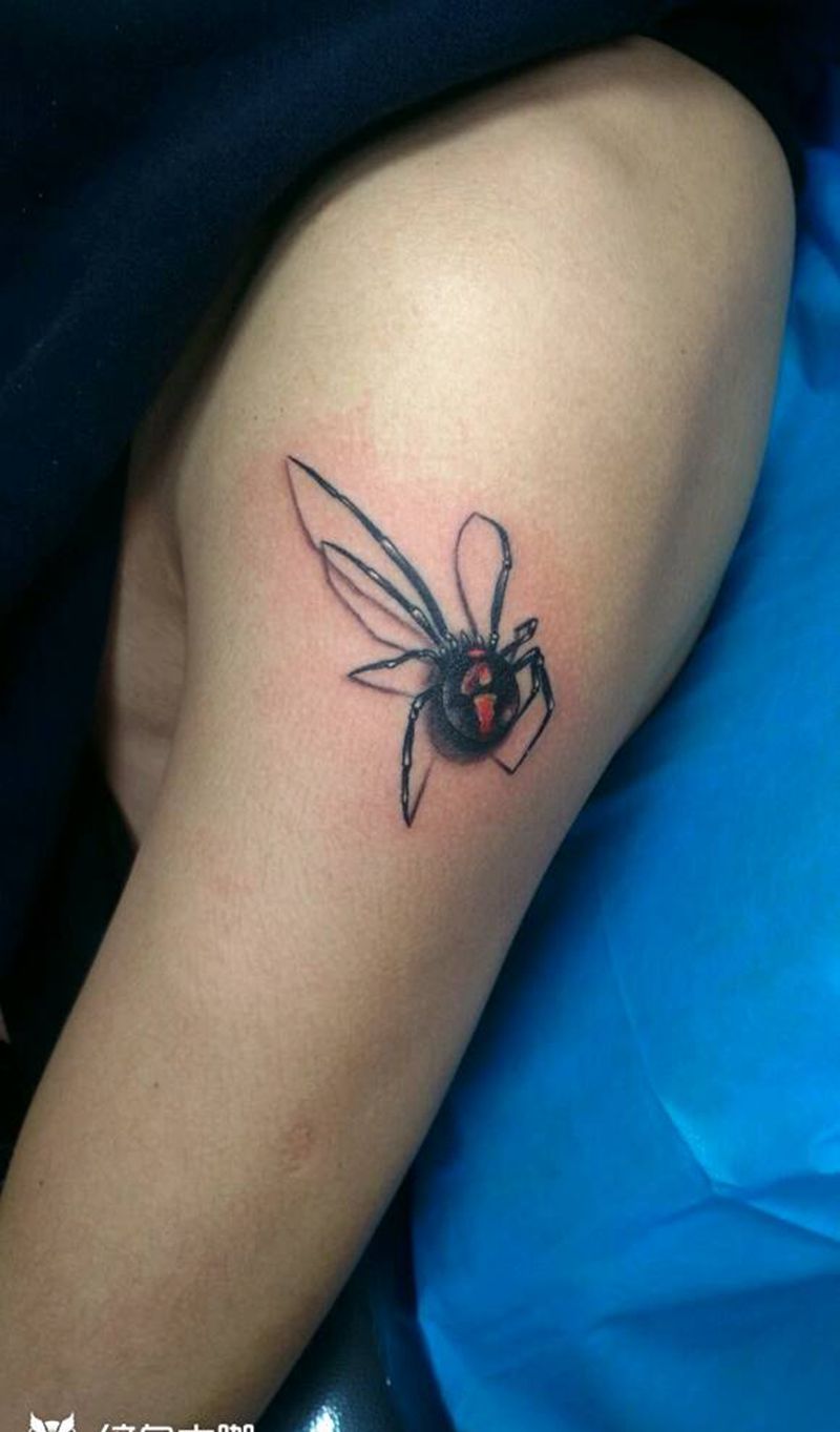 蜘蛛纹身图片_肩部手臂传统清新写实动物天台盘古成品纹身图案