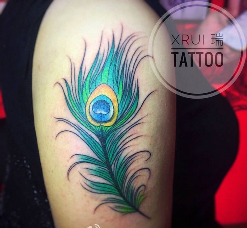 雀翎纹身图片_成品手稿手臂欧美清新动物原创纹身图案