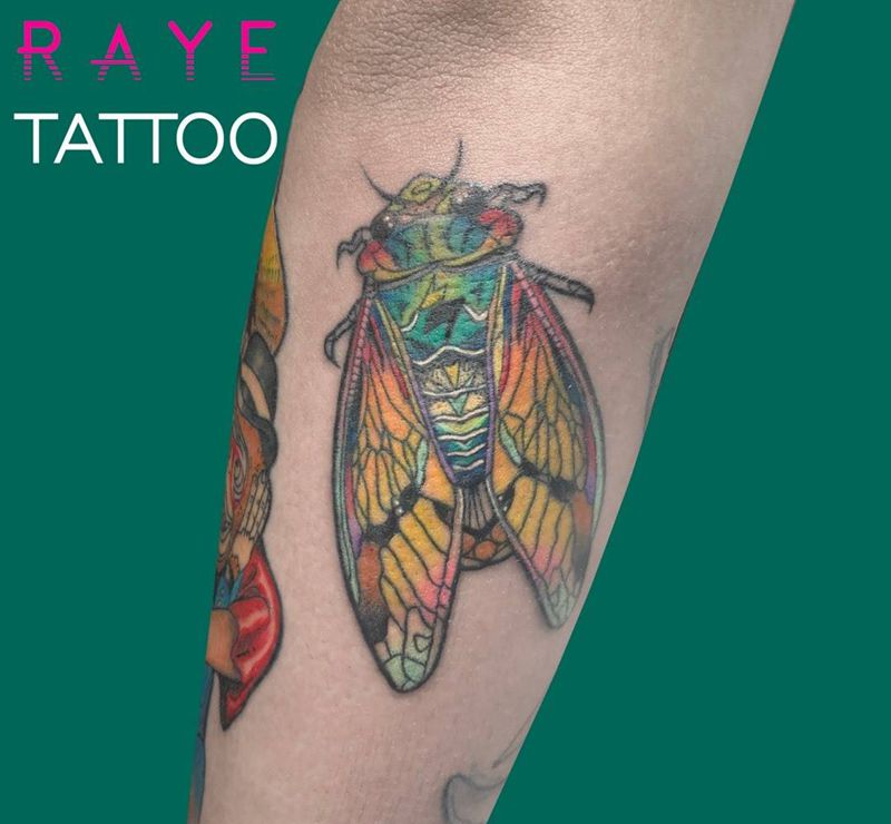 蝉纹身图片_成品插画手臂欧美清新动物水彩纹身图案