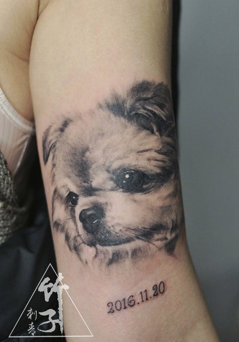 素描肖像狗纹身图片_成品手臂欧美肖像写实动物原创纹身图案