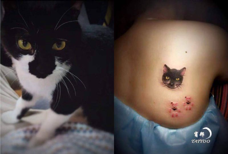 猫猫纹身图片_背部纹身图案