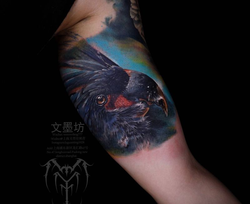 鹦鹉纹身图片_手臂欧美写实纹身图案