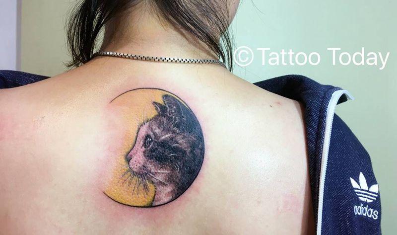 月亮中的小猫咪纹身图片_颈部成品动物写实欧美清新纹身图案