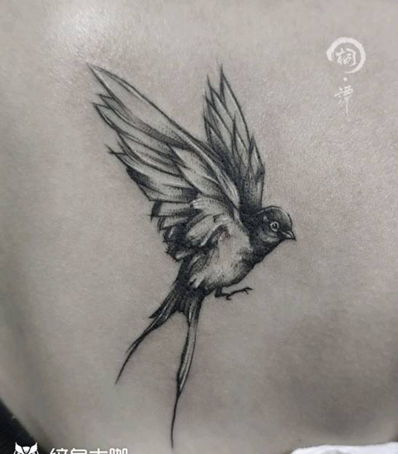 燕子纹身图片