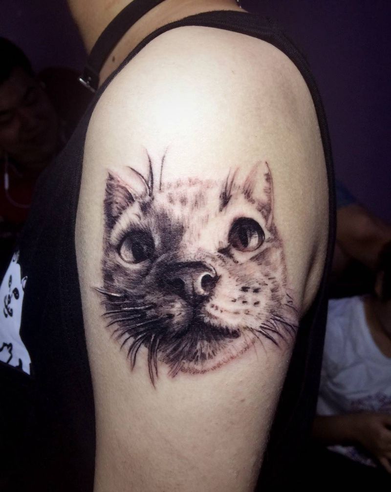 写实猫纹身图片