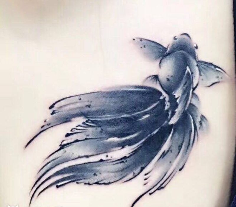 遮盖之前翅膀图腾及字母纹身图片_成品胸部国画动物纹身图案