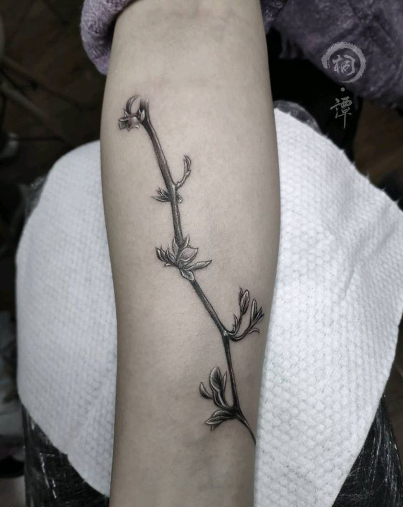 枣树枝纹身图片