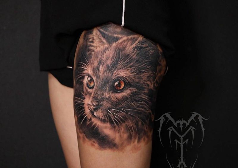 猫纹身图片_欧美写实纹身图案