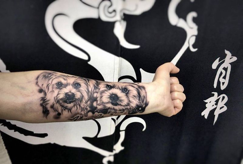 宠物照片头像纹身图片