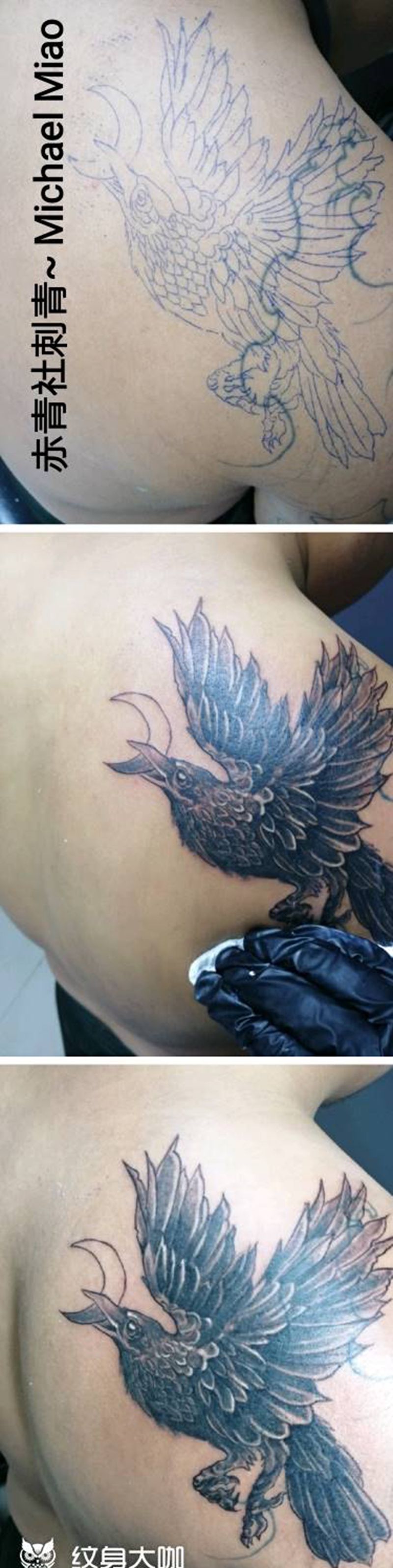 纹身遮盖纹身图片_肩部乌鸦纹身图案