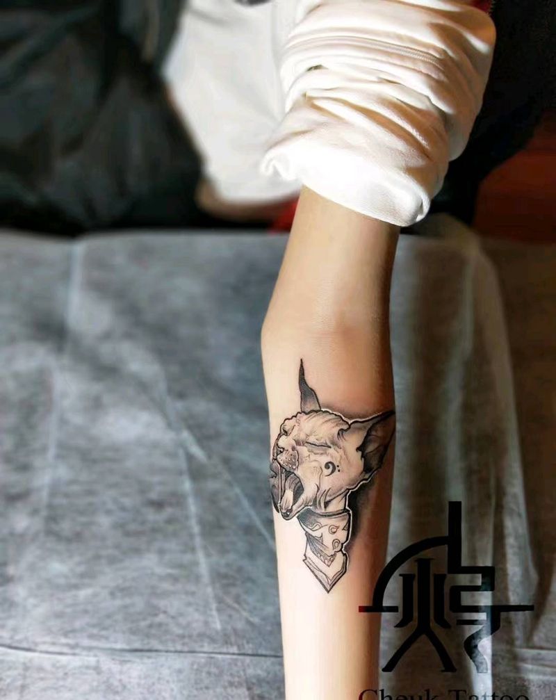 猫纹身图片_手臂欧美清新动物原创手稿纹身图案