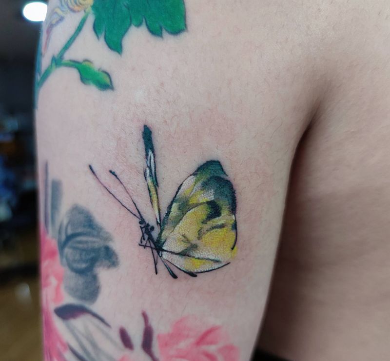 水墨蝴蝶纹身图片_手臂水墨纹身图案