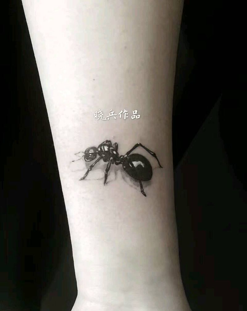 蚂蚁。纹身图片