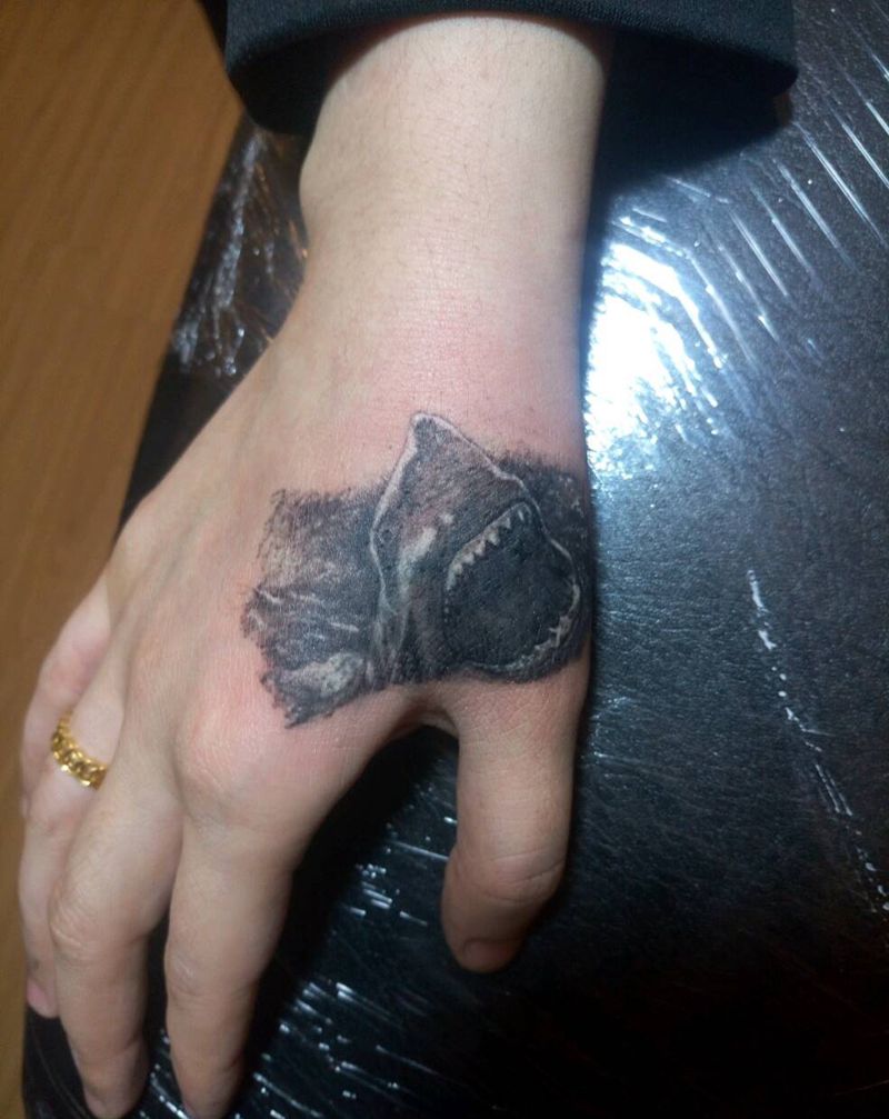 小鲨鱼 遮盖纹身图片