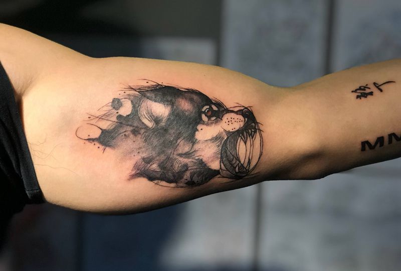 网络图纹身图片