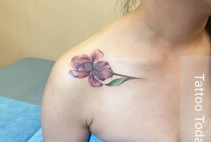 天蝎座守护花—鸢尾花纹身图片