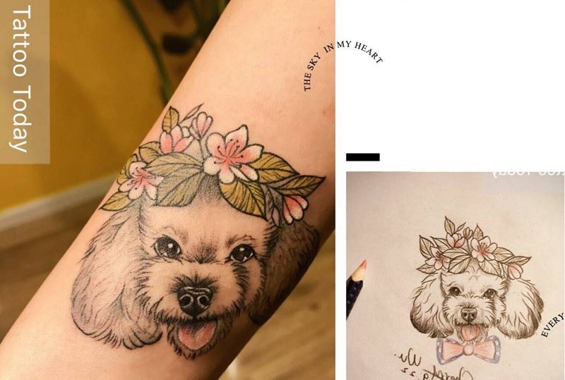 疤痕遮盖纹身图片_手稿成品手臂清新原创动物疤痕遮盖纹身图案