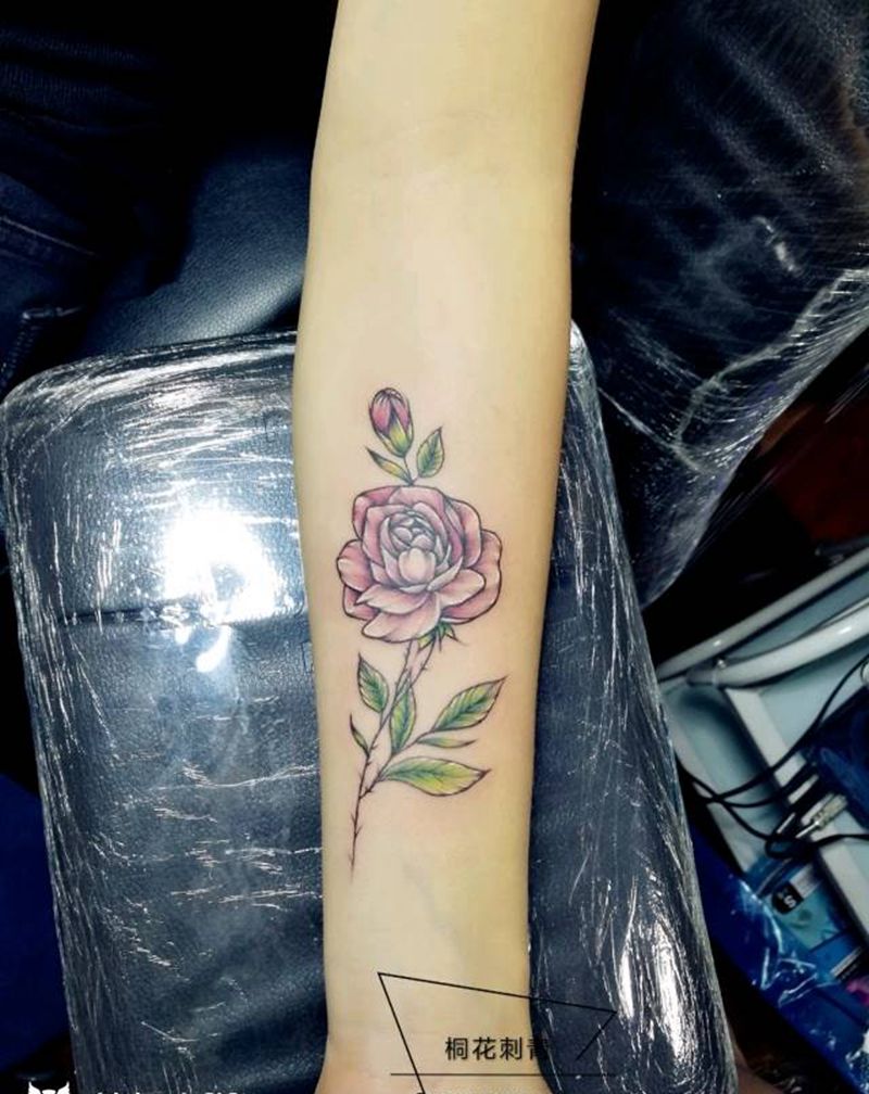 植物纹身图片_手臂清新植物成品纹身图案