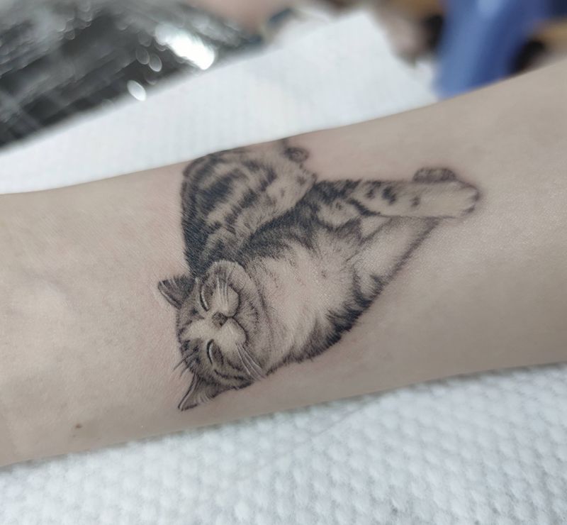 微雕写实猫纹身图片_手臂欧美写实纹身图案