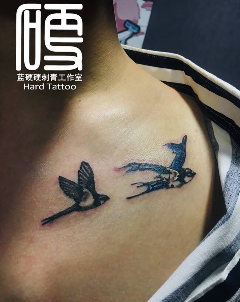 燕子纹身图片_胸部蓝硬硬纹身图案