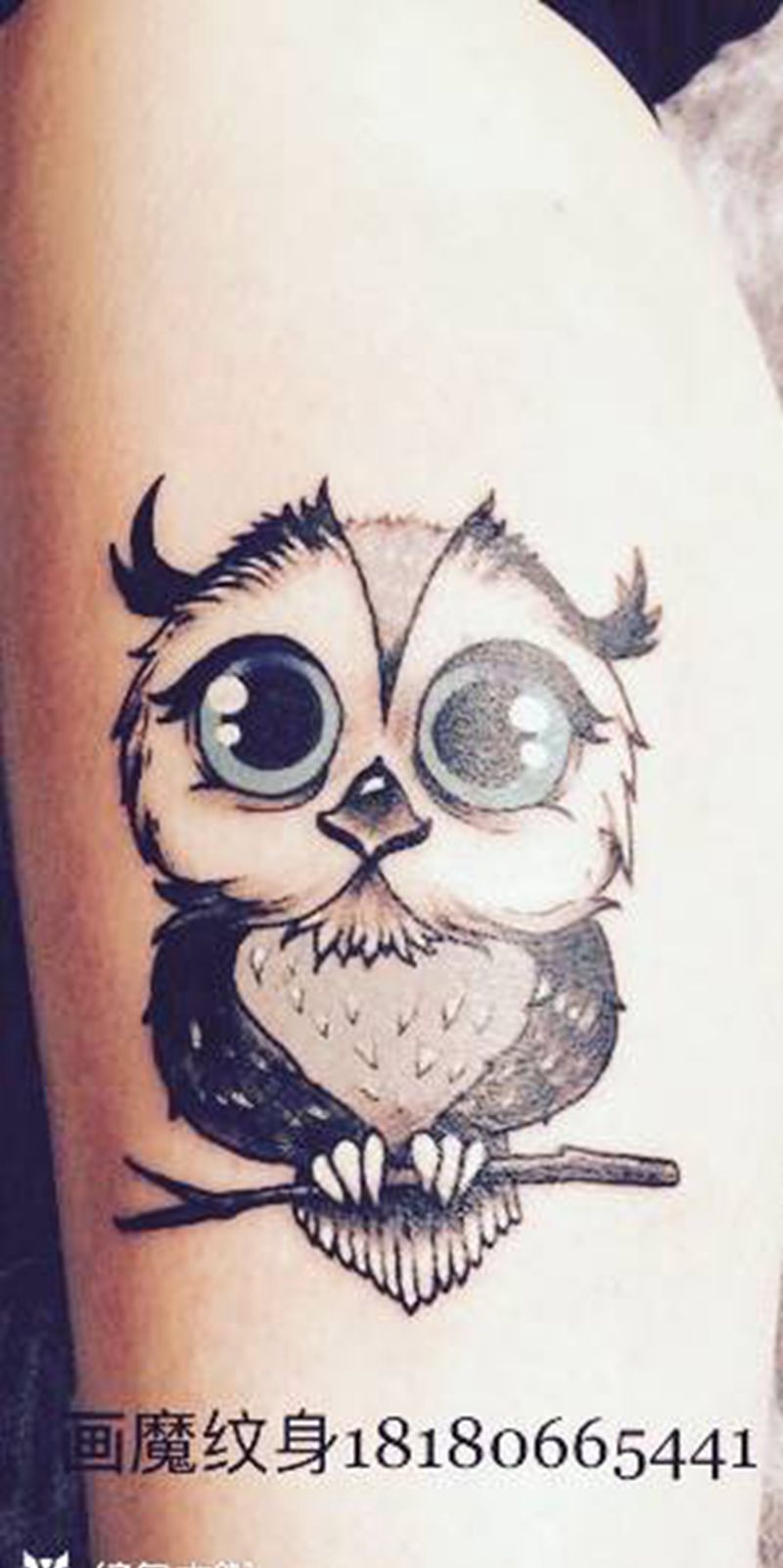 呆萌猫头鹰纹身图片_手臂New School纹身图案