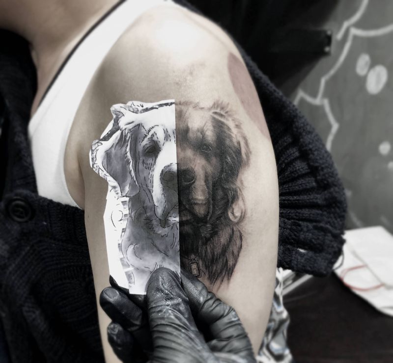 阿呆纹身图片_手臂肩部欧美写实纹身图案