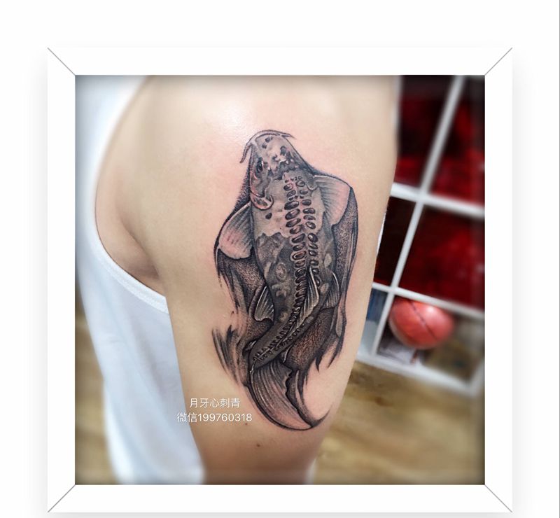 鱼纹身图片_手臂欧美写实鱼锦鲤纹身图案