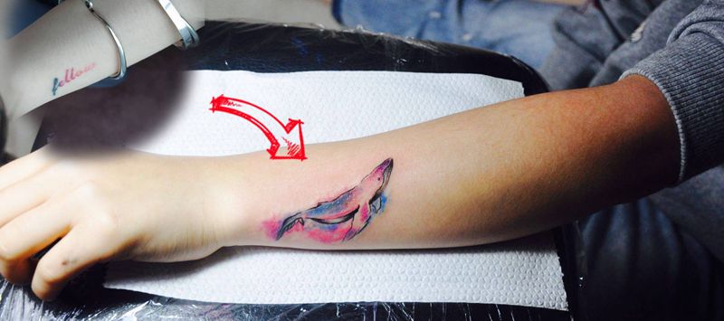 鲸鱼遮盖老纹身纹身图片_水彩纹身图案