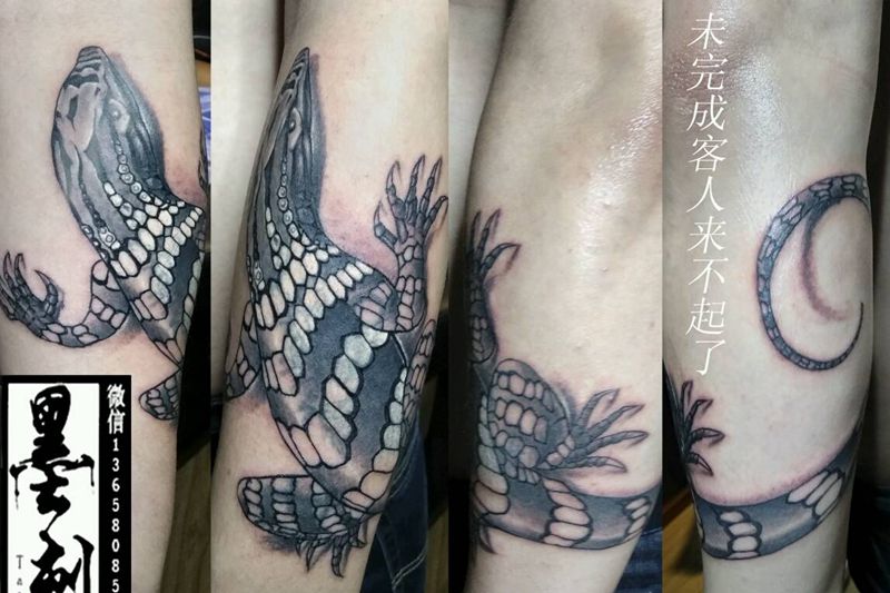 蜥蜴纹身图片_手臂动物纹身图案