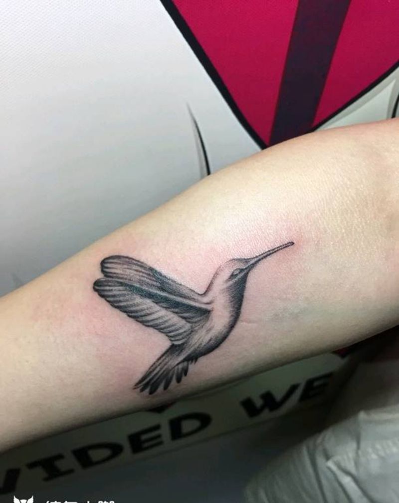 小蜂鸟纹身图片