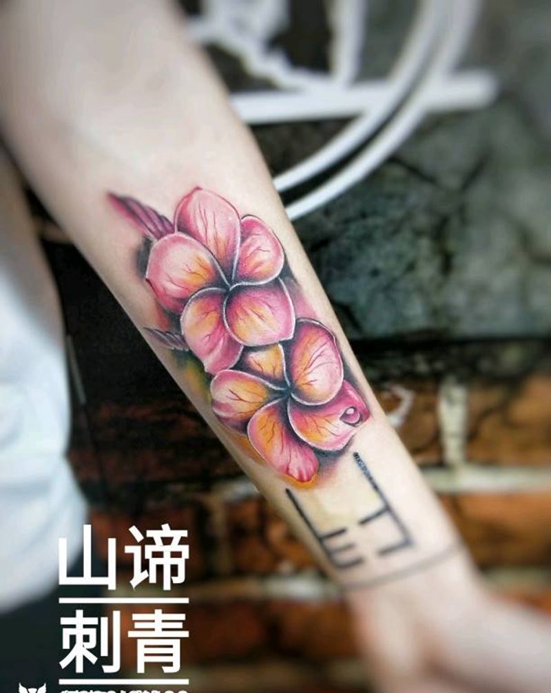 鸡蛋花纹身图片