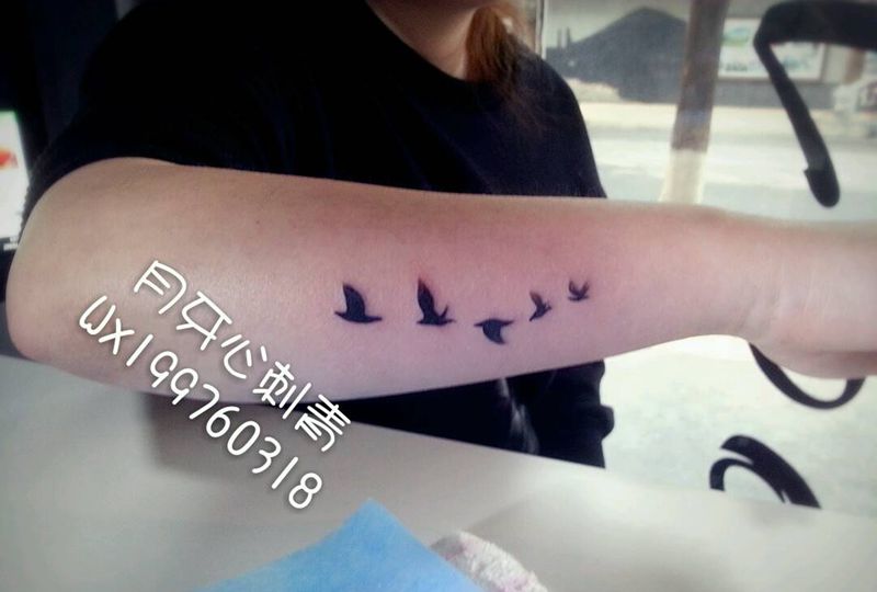 飞鸟遮盖疤痕纹身图片_成品手臂清新动物鸟遮盖纹身图案