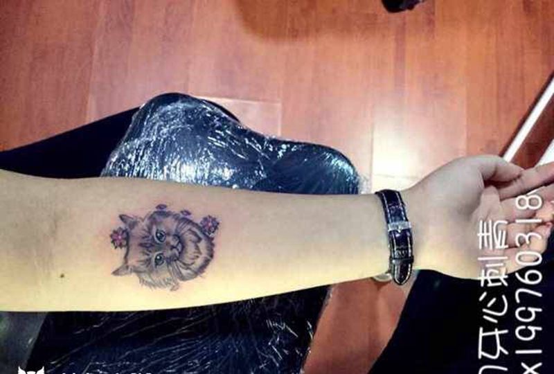 猫纹身图片_成品手臂清新写实动物猫纹身图案